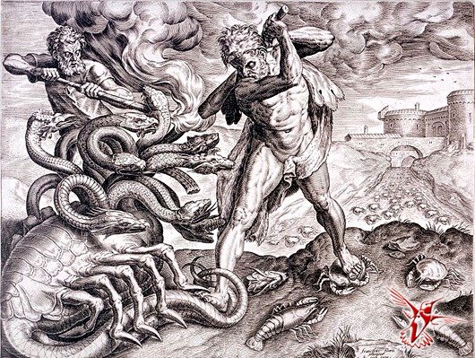 Зеркало для крамп через тор krakenruz