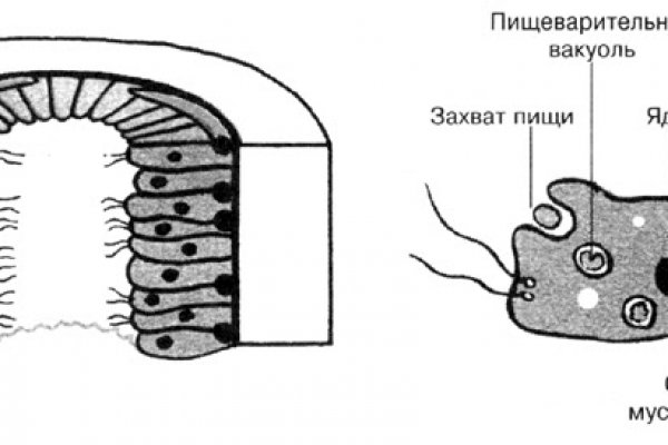 Кракен почему не работает