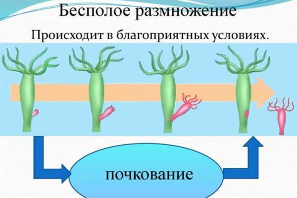 Ссылка на kraken через тор браузер онион