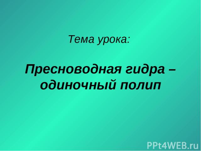 Кракен даркнет не работает